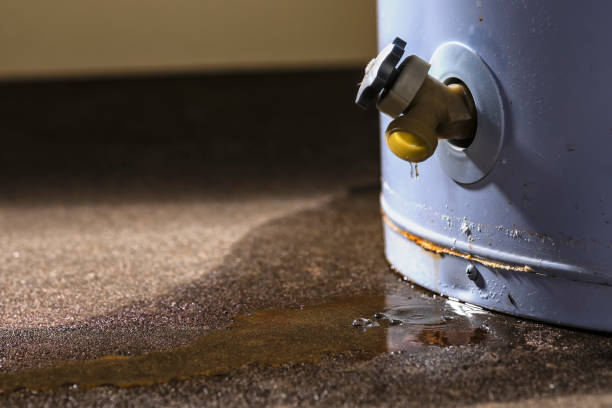 Best Flood restoration services  in San Carlos, AZ