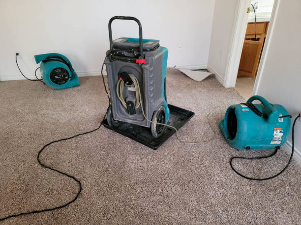 Best Emergency water damage restoration  in San Carlos, AZ