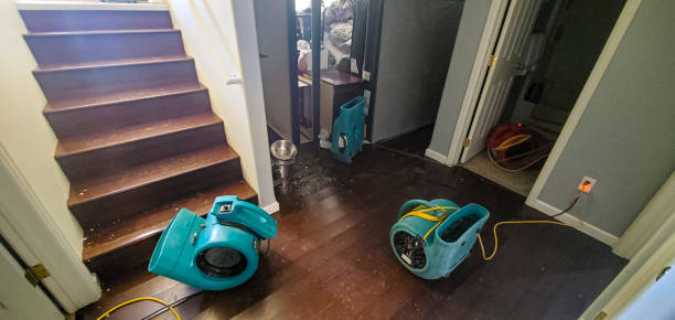 Best Flood restoration services  in San Carlos, AZ
