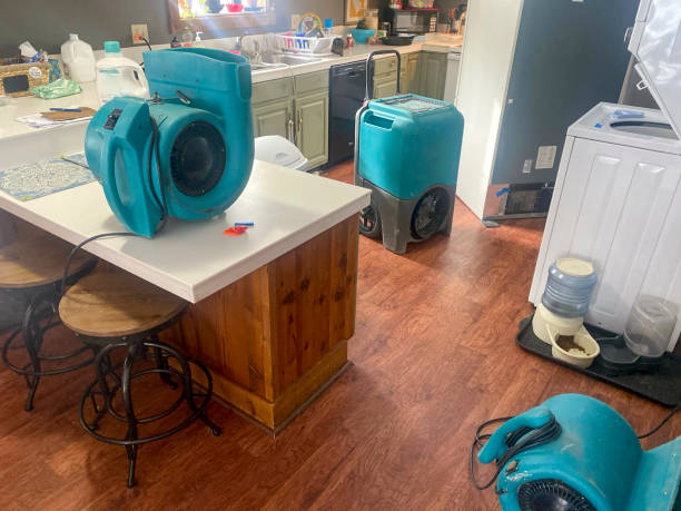 Best Residential water damage restoration  in San Carlos, AZ