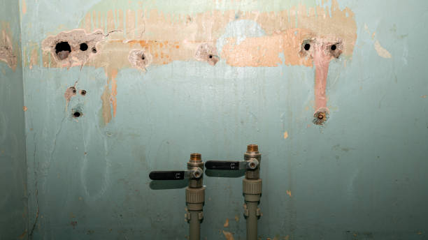 Best Professional water damage repair  in San Carlos, AZ