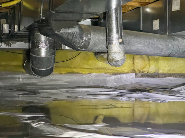 Best Water damage restoration near me  in San Carlos, AZ