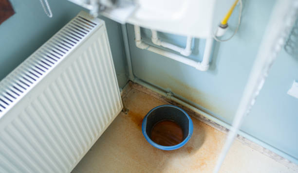 Best Mold removal after water damage  in San Carlos, AZ