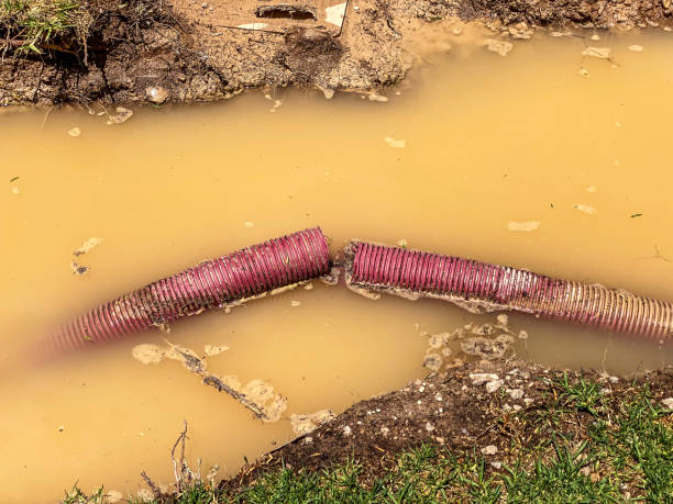 Best 24-hour water damage restoration  in San Carlos, AZ